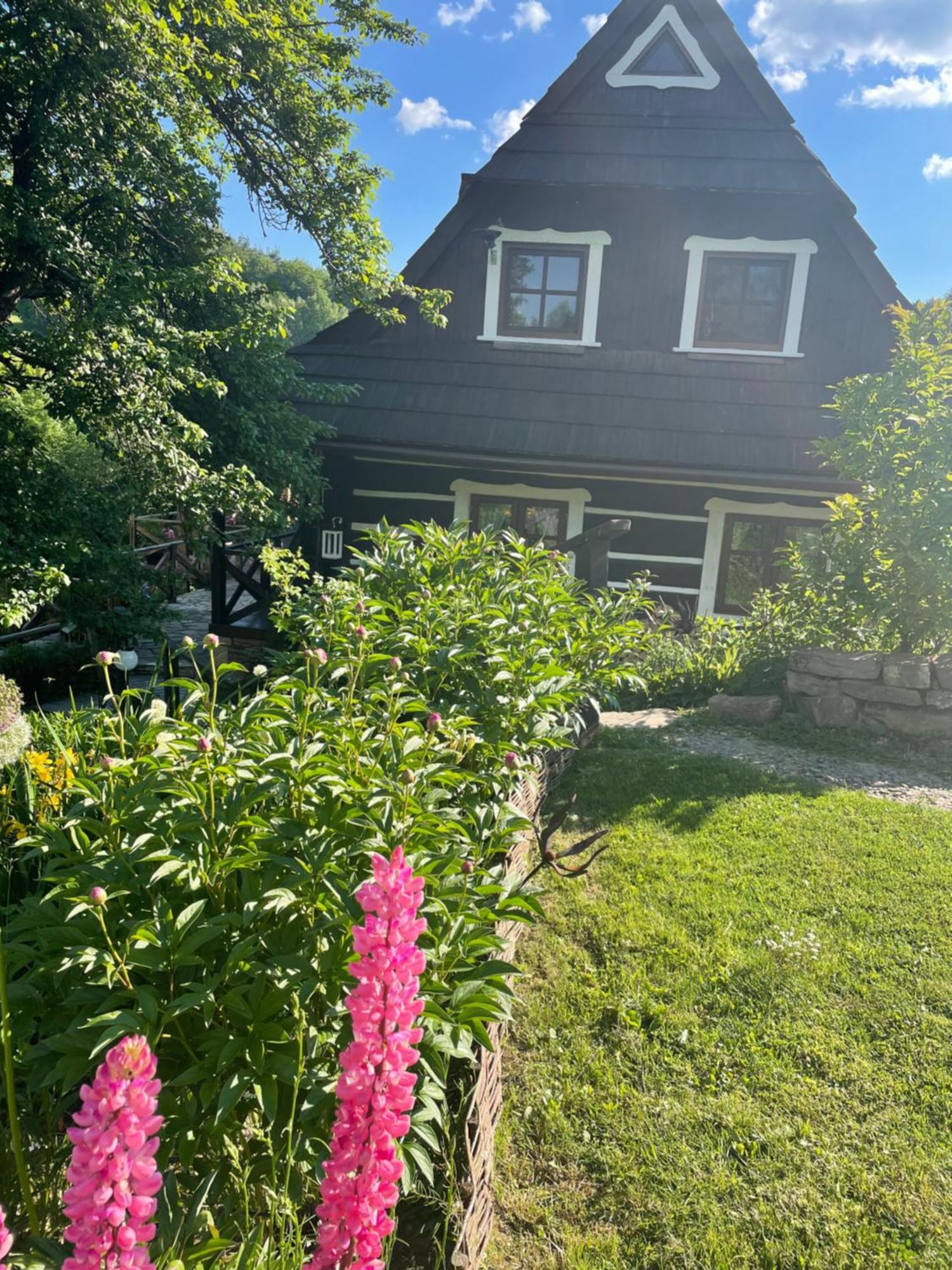 Maciejewka Villa Zahoczewie Eksteriør bilde