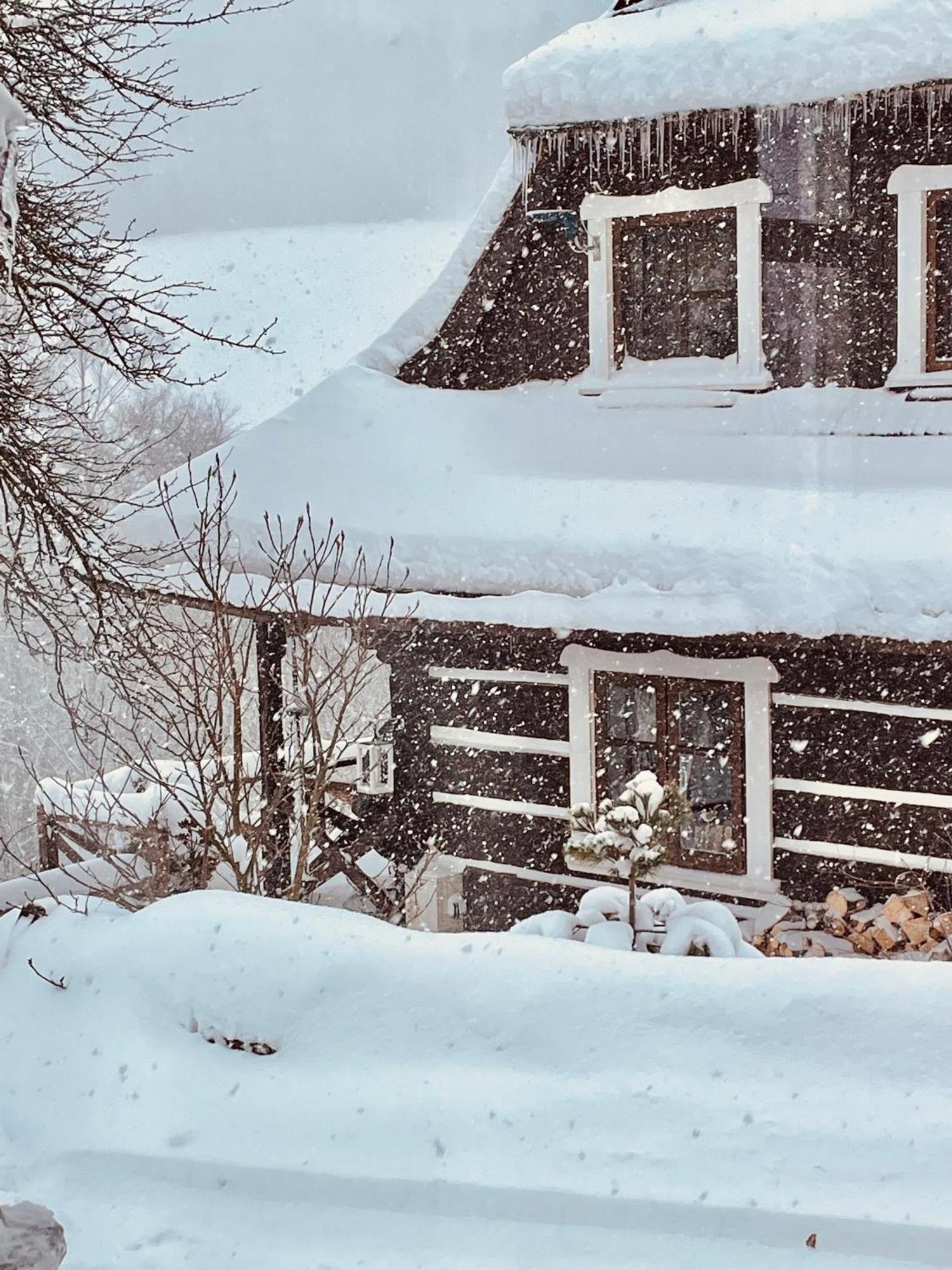 Maciejewka Villa Zahoczewie Eksteriør bilde