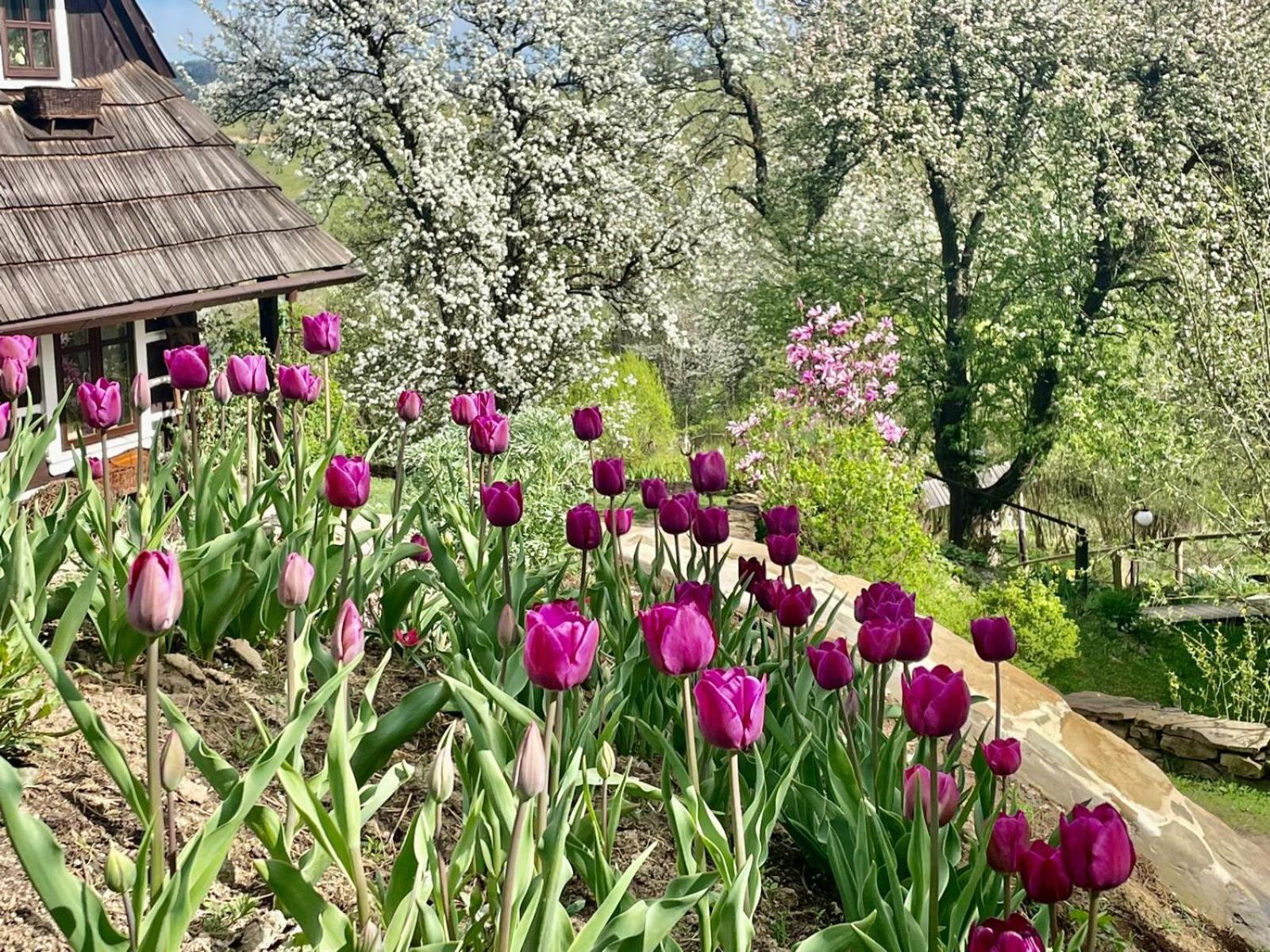 Maciejewka Villa Zahoczewie Eksteriør bilde